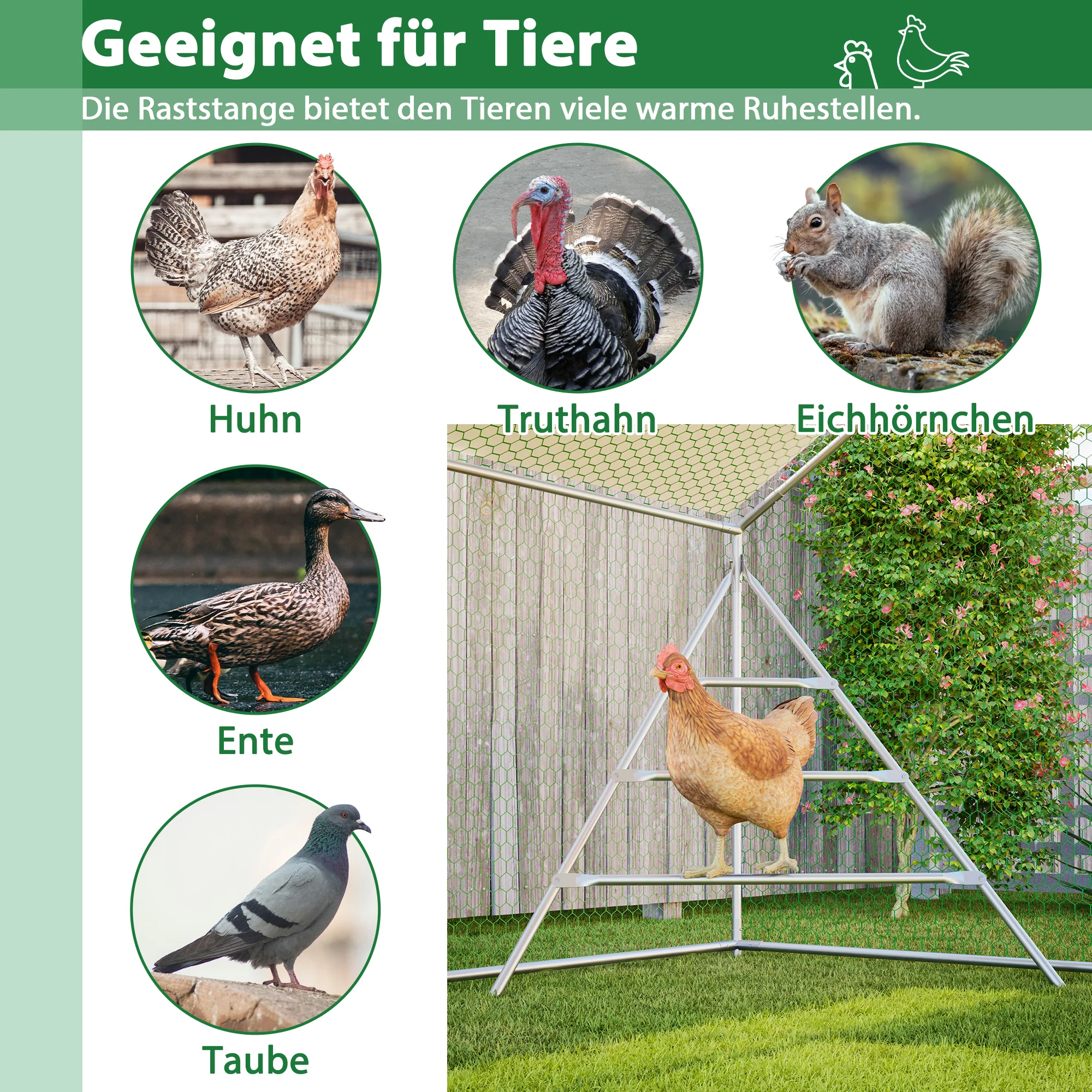 Chicken Coop Aviary 3x2m Weatherproof Metal Frame - Image 6